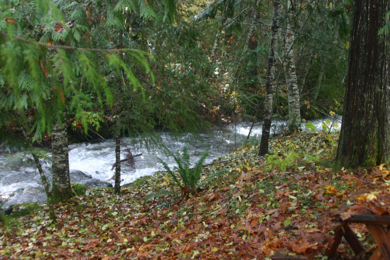Copper Creek Inn Ashford Dış mekan fotoğraf